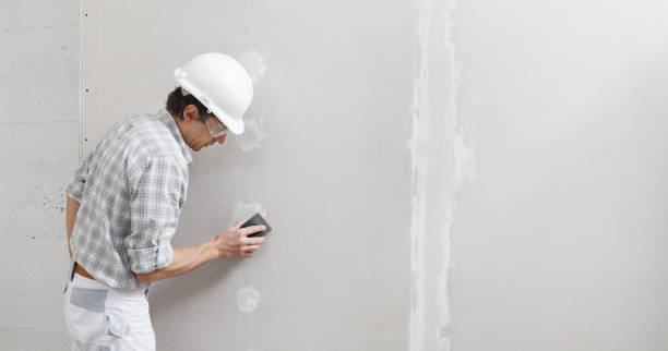 Best Professional Drywall Finishing  in USA